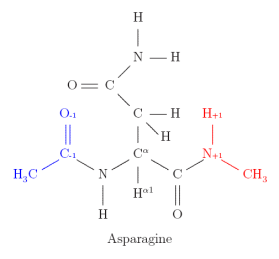 asparagine